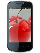 Best available price of Celkon A19 in Algeria