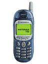 Best available price of Motorola T190 in Algeria
