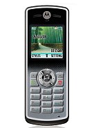 Best available price of Motorola W177 in Algeria