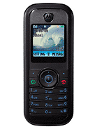 Best available price of Motorola W205 in Algeria