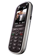 Best available price of Motorola WX288 in Algeria