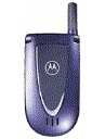 Best available price of Motorola V66i in Algeria
